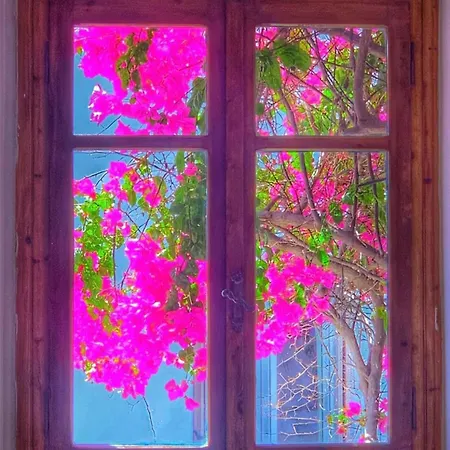 ホテル Mare Naxia Naxos City