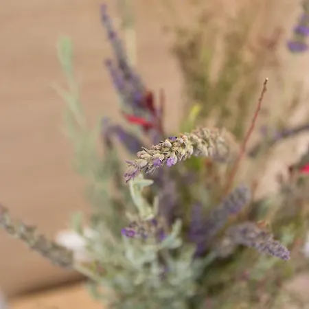 Mare Naxia ホテル