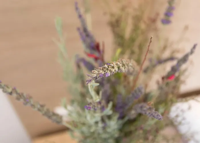 Mare Naxia Ξενοδοχείο