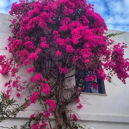 Mare Naxia Отель Naxos City