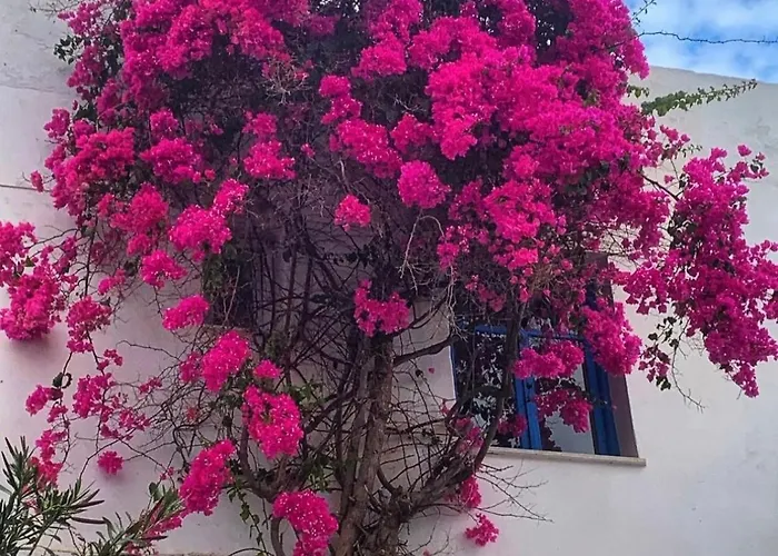 Mare Naxia Hotel Naxos City